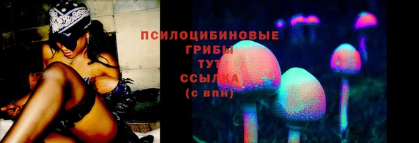 марки lsd Белокуриха