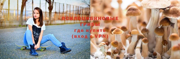 шишки Баксан