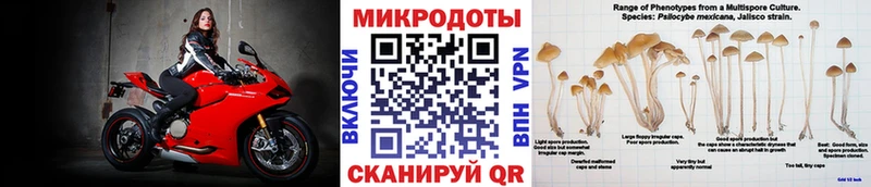 Псилоцибиновые грибы мицелий  Лыткарино 