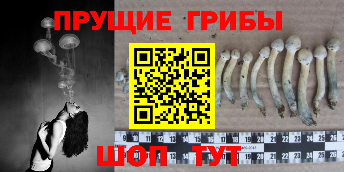 Галлюциногенные грибы GOLDEN TEACHER Лыткарино