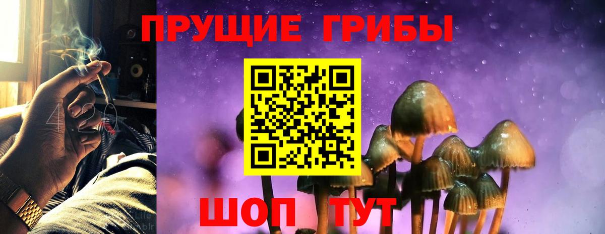 где продают наркотики  Вход с VPN  Лыткарино  Галлюциногенные грибы мухоморы 